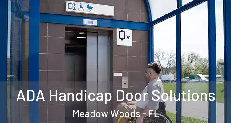 ADA Handicap Door Solutions Meadow Woods - FL