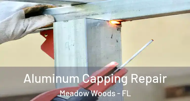 Aluminum Capping Repair Meadow Woods - FL