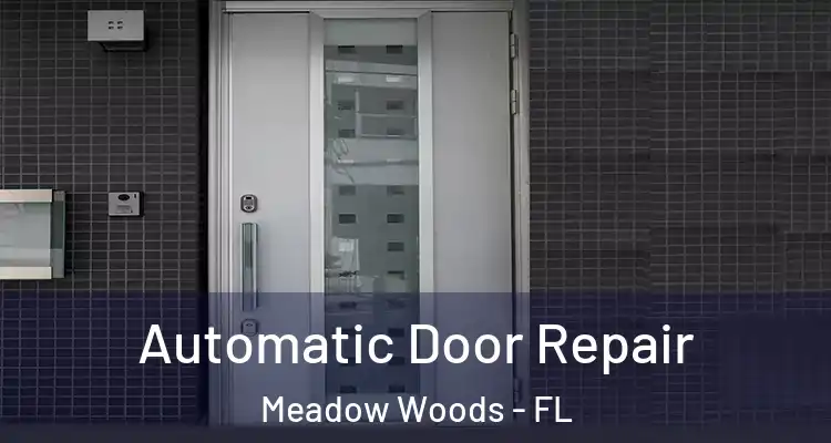 Automatic Door Repair Meadow Woods - FL