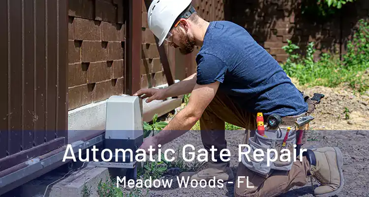 Automatic Gate Repair Meadow Woods - FL