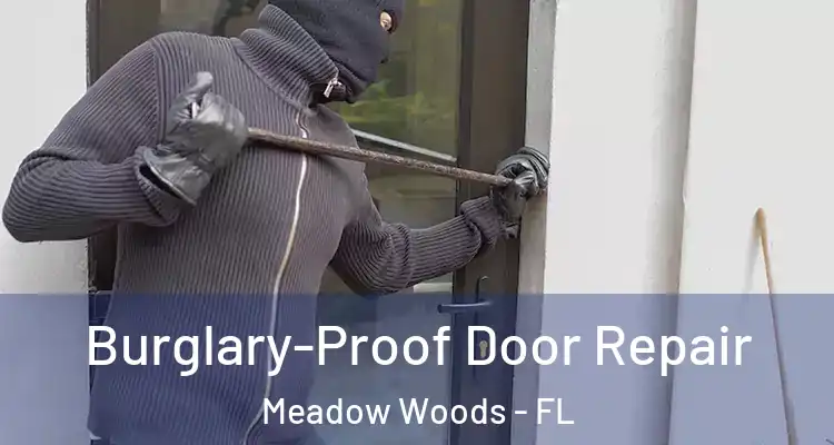 Burglary-Proof Door Repair Meadow Woods - FL