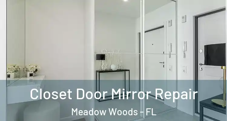 Closet Door Mirror Repair Meadow Woods - FL