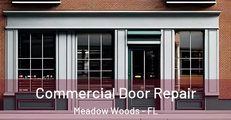 Commercial Door Repair Meadow Woods - FL