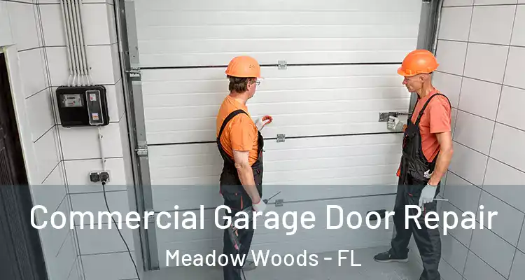 Commercial Garage Door Repair Meadow Woods - FL