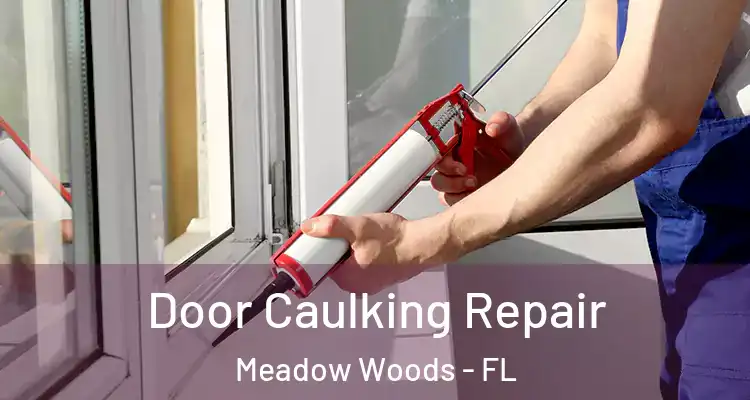Door Caulking Repair Meadow Woods - FL