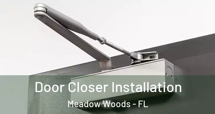 Door Closer Installation Meadow Woods - FL
