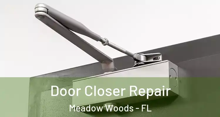 Door Closer Repair Meadow Woods - FL
