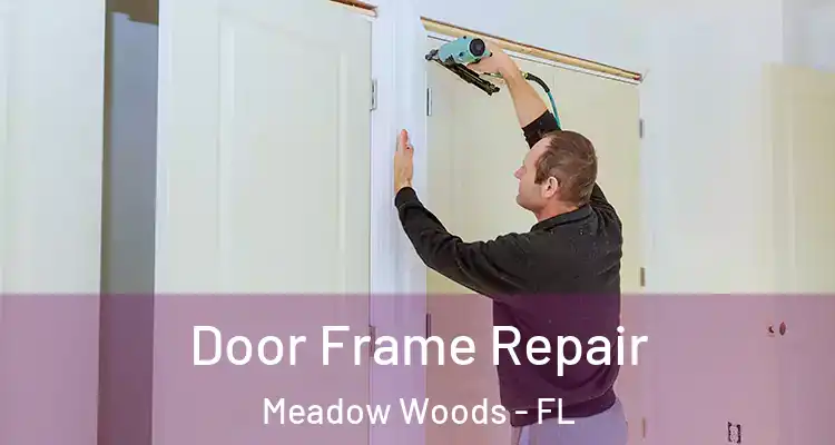 Door Frame Repair Meadow Woods - FL