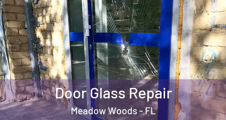 Door Glass Repair Meadow Woods - FL