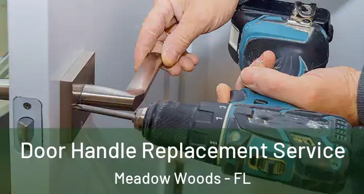 Door Handle Replacement Service Meadow Woods - FL