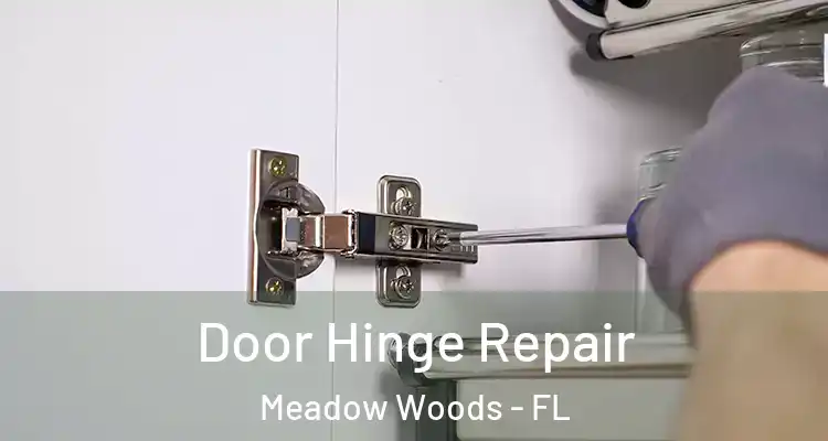 Door Hinge Repair Meadow Woods - FL