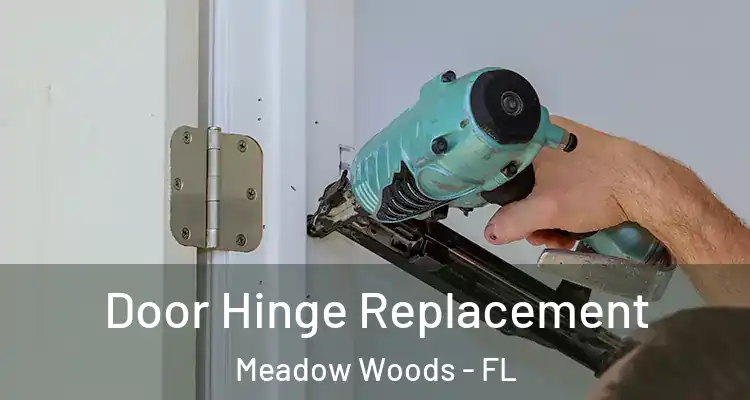 Door Hinge Replacement Meadow Woods - FL