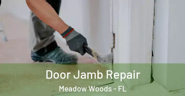 Door Jamb Repair Meadow Woods - FL