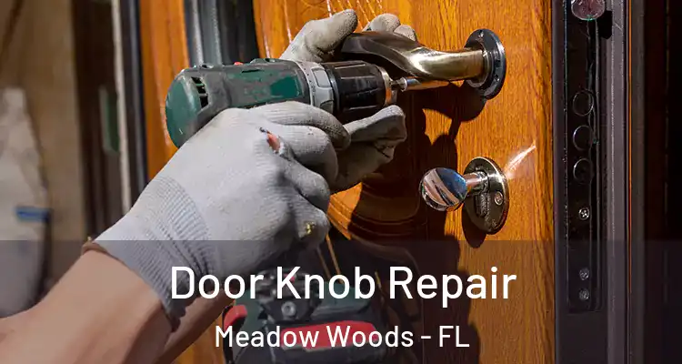 Door Knob Repair Meadow Woods - FL