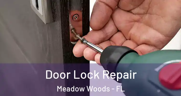 Door Lock Repair Meadow Woods - FL