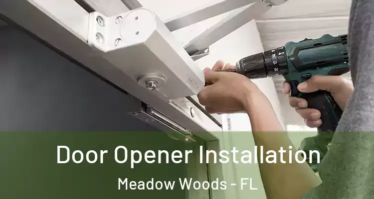 Door Opener Installation Meadow Woods - FL