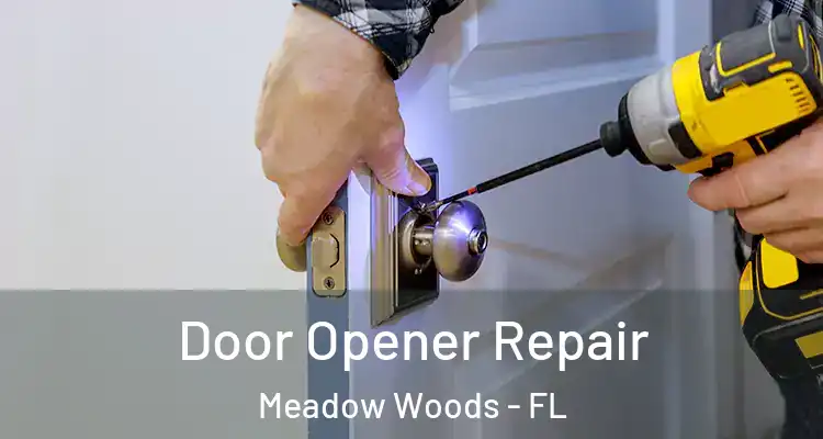 Door Opener Repair Meadow Woods - FL