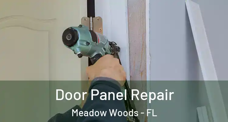 Door Panel Repair Meadow Woods - FL