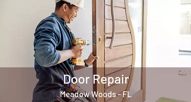 Door Repair Meadow Woods - FL
