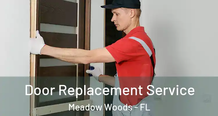 Door Replacement Service Meadow Woods - FL