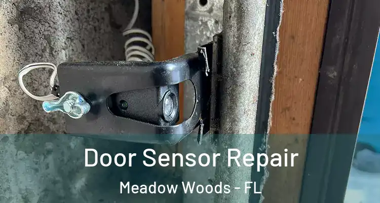 Door Sensor Repair Meadow Woods - FL