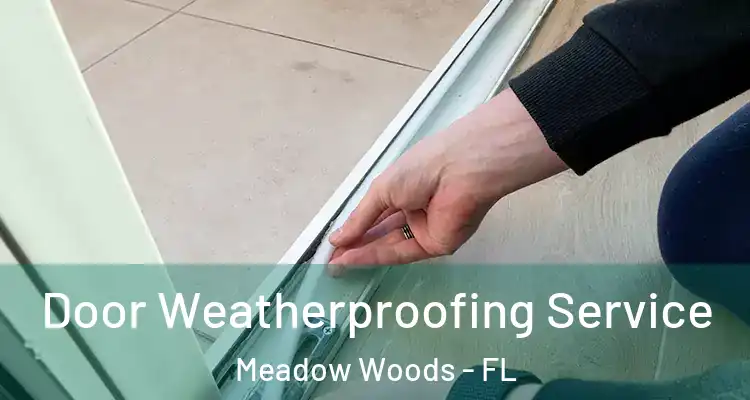 Door Weatherproofing Service Meadow Woods - FL