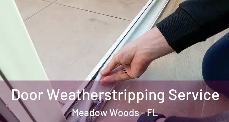 Door Weatherstripping Service Meadow Woods - FL