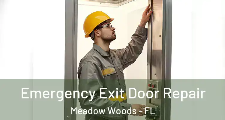 Emergency Exit Door Repair Meadow Woods - FL