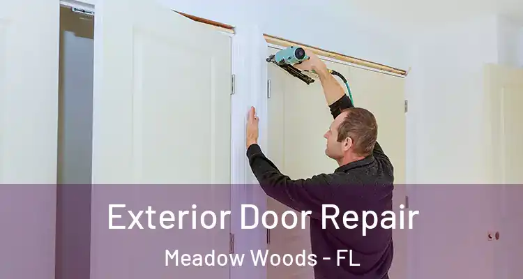 Exterior Door Repair Meadow Woods - FL