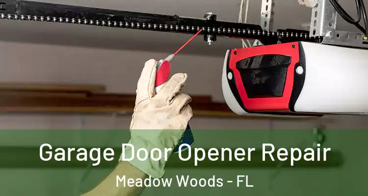 Garage Door Opener Repair Meadow Woods - FL