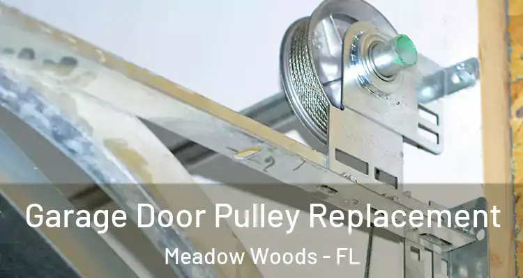 Garage Door Pulley Replacement Meadow Woods - FL