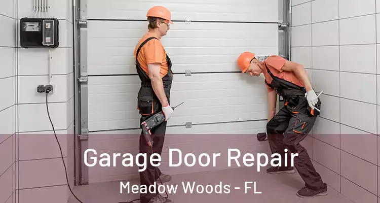Garage Door Repair Meadow Woods - FL