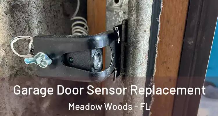 Garage Door Sensor Replacement Meadow Woods - FL