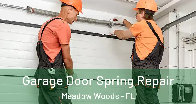 Garage Door Spring Repair Meadow Woods - FL