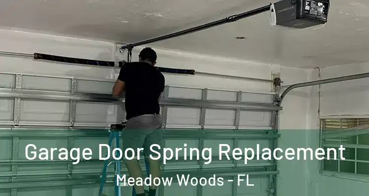 Garage Door Spring Replacement Meadow Woods - FL