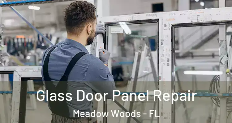 Glass Door Panel Repair Meadow Woods - FL