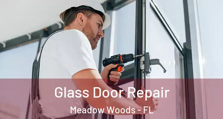 Glass Door Repair Meadow Woods - FL
