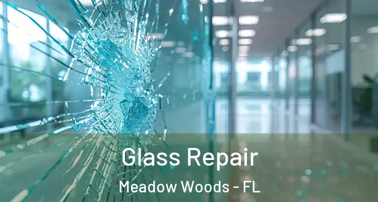 Glass Repair Meadow Woods - FL