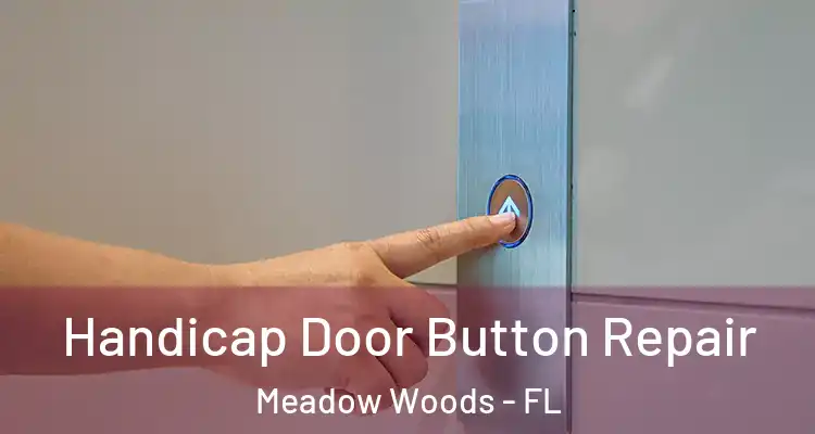 Handicap Door Button Repair Meadow Woods - FL
