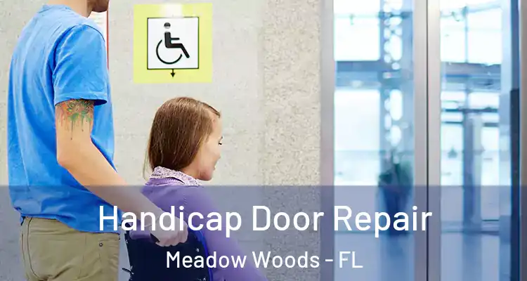 Handicap Door Repair Meadow Woods - FL