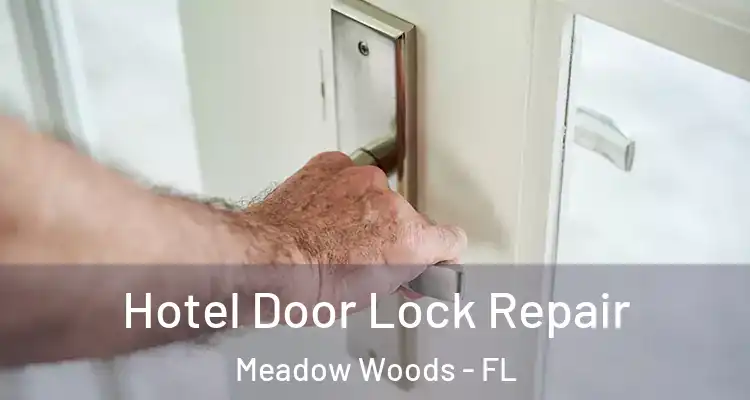 Hotel Door Lock Repair Meadow Woods - FL