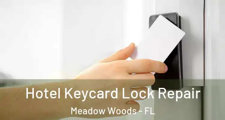 Hotel Keycard Lock Repair Meadow Woods - FL