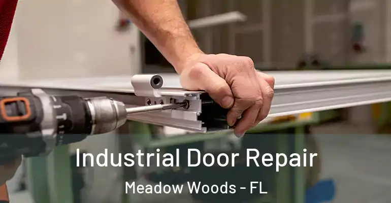 Industrial Door Repair Meadow Woods - FL