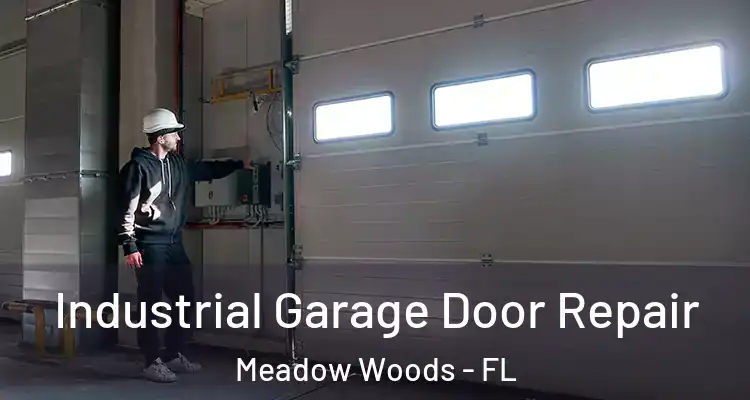 Industrial Garage Door Repair Meadow Woods - FL