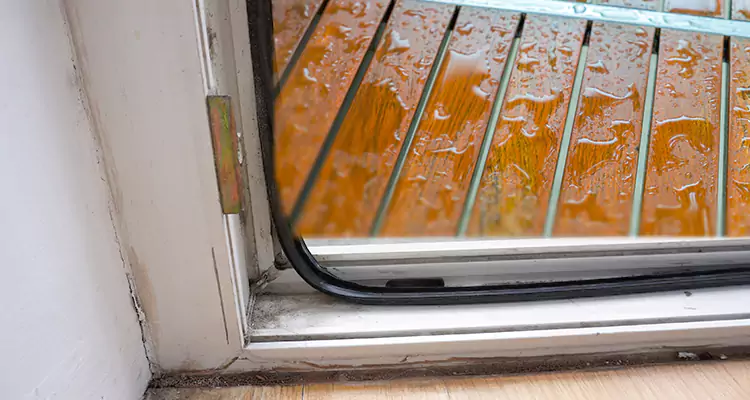 Water Leaking Wooden Patio Doors Repair in Meadow Woods, FL