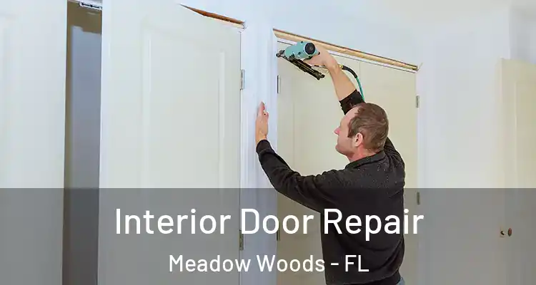 Interior Door Repair Meadow Woods - FL