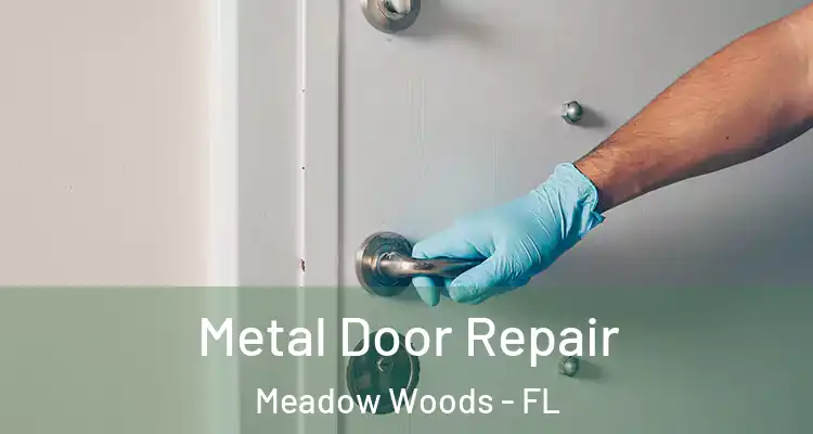 Metal Door Repair Meadow Woods - FL
