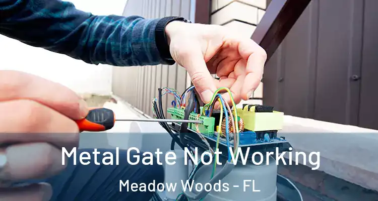 Metal Gate Not Working Meadow Woods - FL