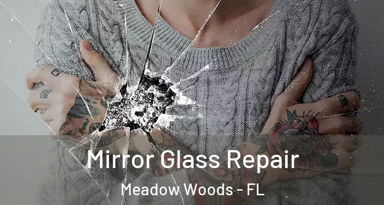 Mirror Glass Repair Meadow Woods - FL