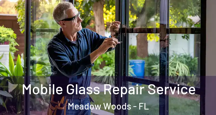 Mobile Glass Repair Service Meadow Woods - FL